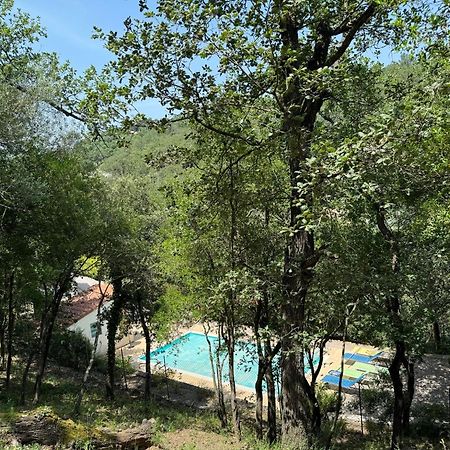 Maison Avec Piscine Chauffee Entre Mer Et Montagne Montauriol  Zewnętrze zdjęcie