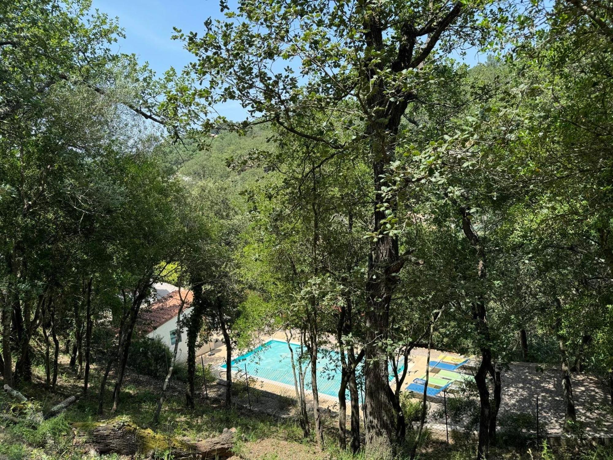 Maison Avec Piscine Chauffee Entre Mer Et Montagne Montauriol  Zewnętrze zdjęcie